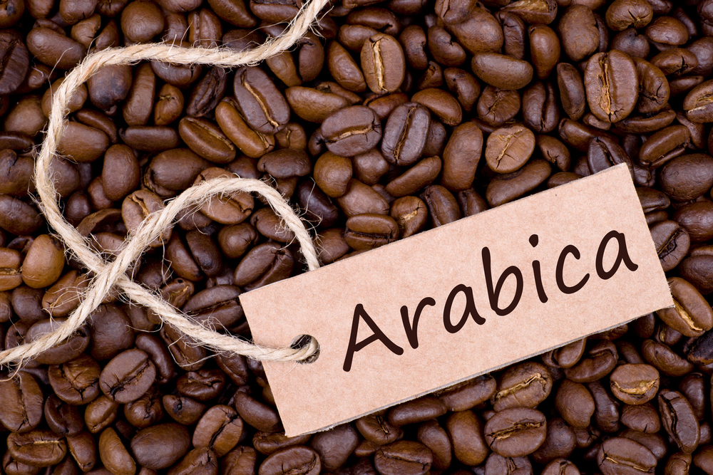 Embark on a Journey of Flavor: Discover the Elegance of Our Arabica Coffee